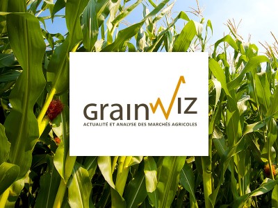 Grainwiz, Analyse marché agricole, Québec, Montréal